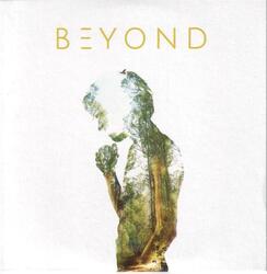 Cover for Beyond by Naâman